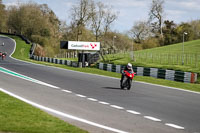 Lower Group Red Bikes